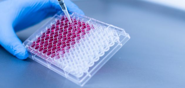The Gray Two-Sided Reality of Stem Cells