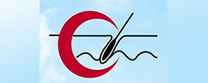 logo-LSDV