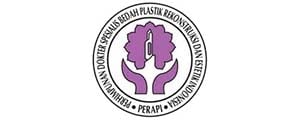 logo-PERAPI