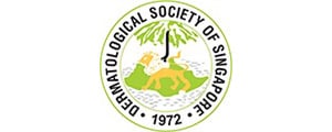logo-DSS