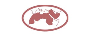 logo-PAN ARAB DERM